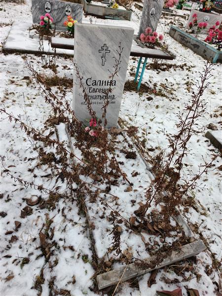 Салина Евгения Игнатьевна