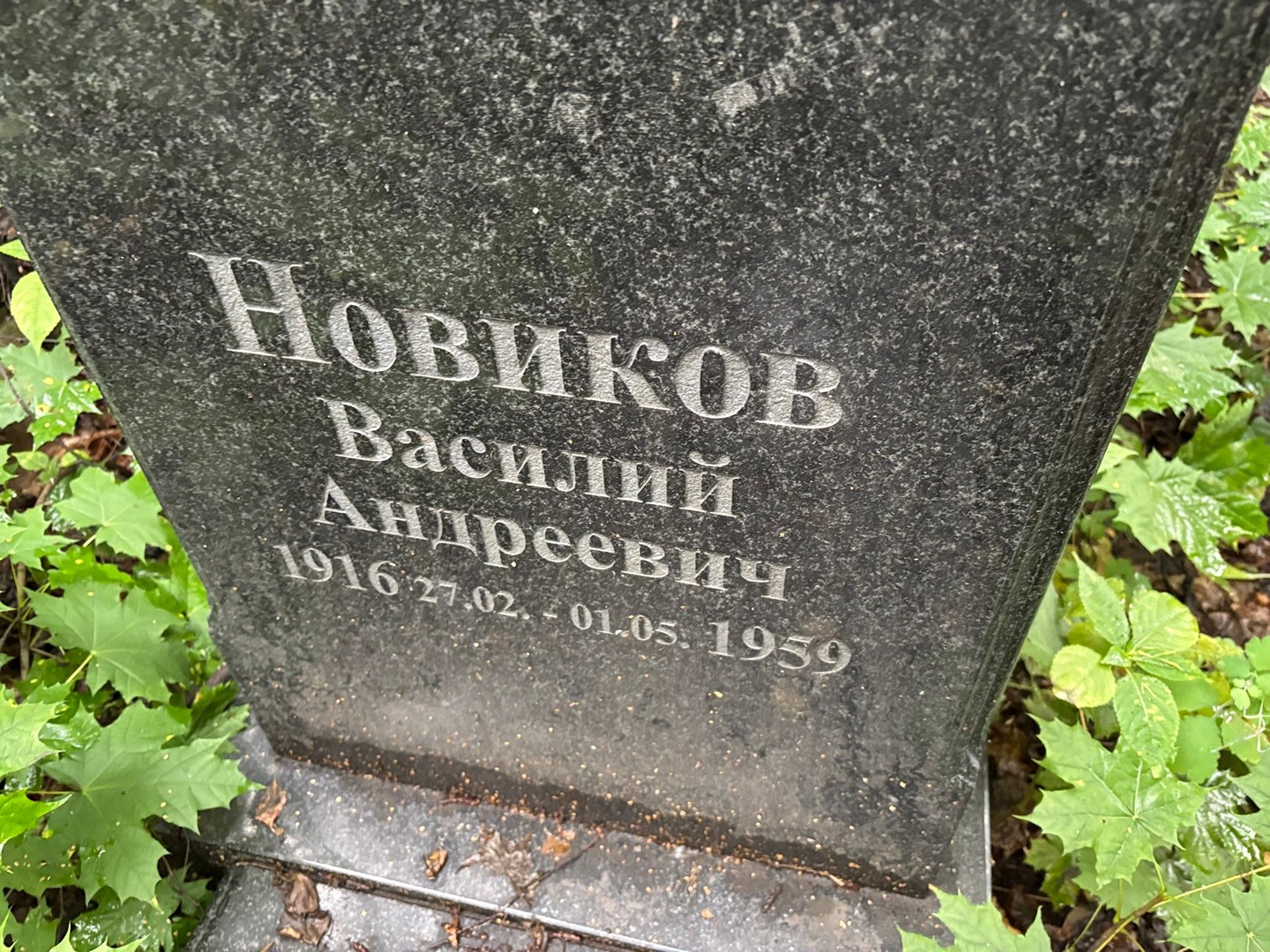 Новиков