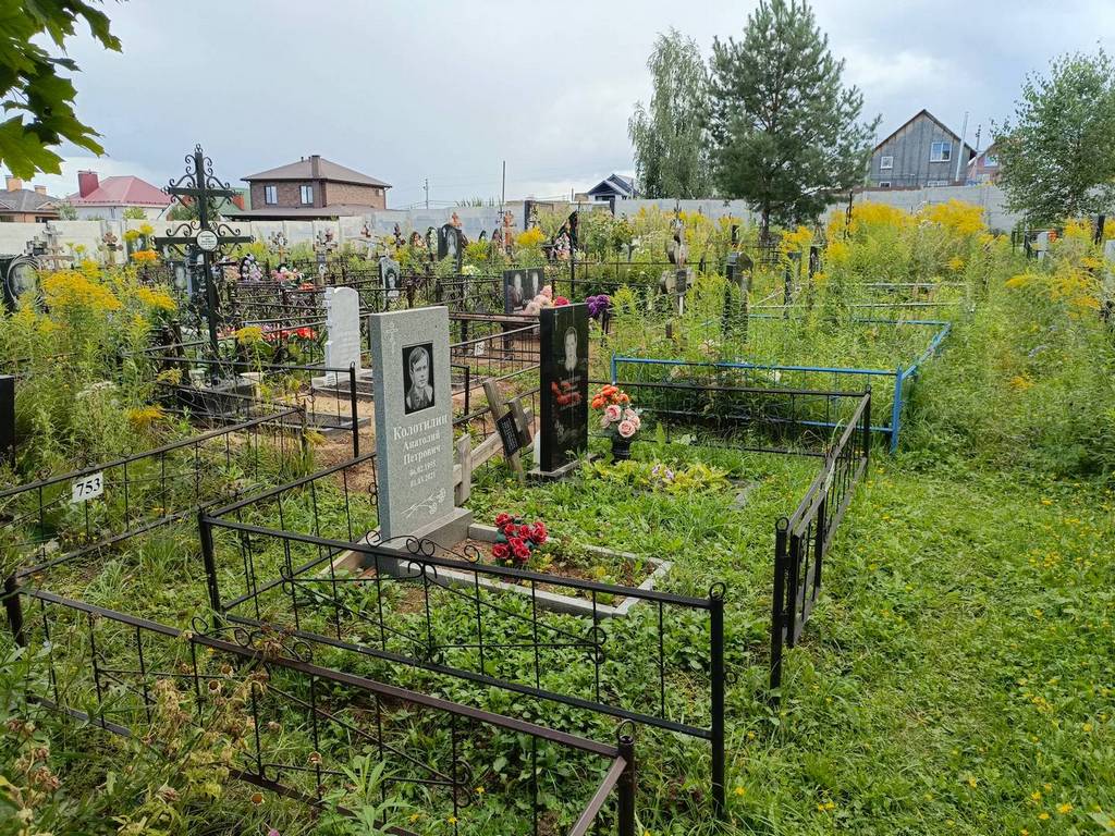 Колотилин Дмитрий Анатольевич