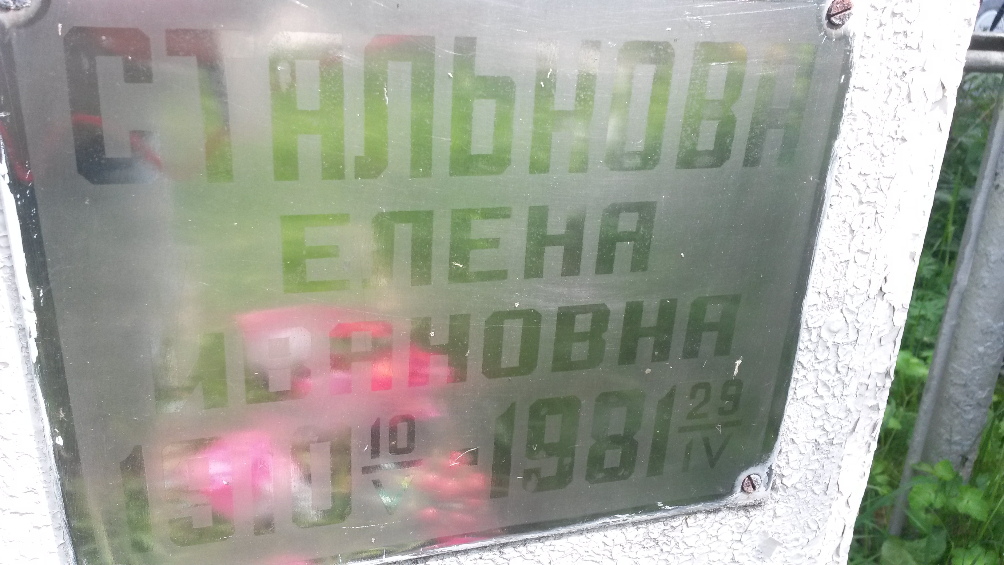 Кашина Дарья Кузьминична