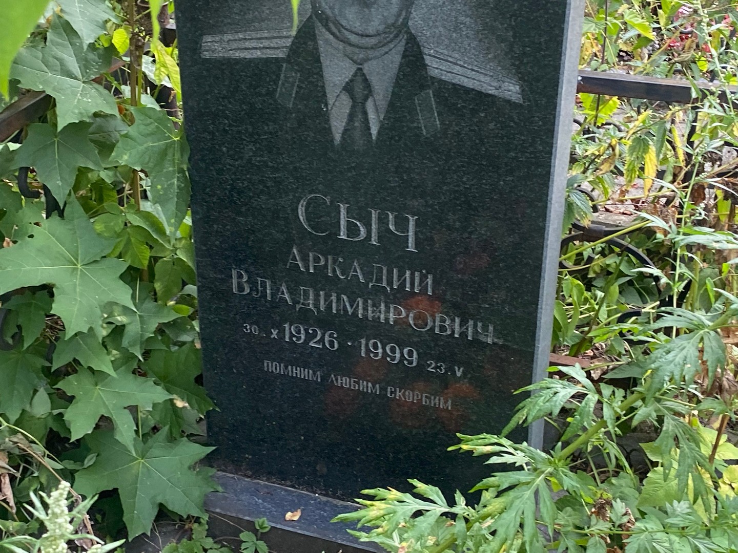 Сыч