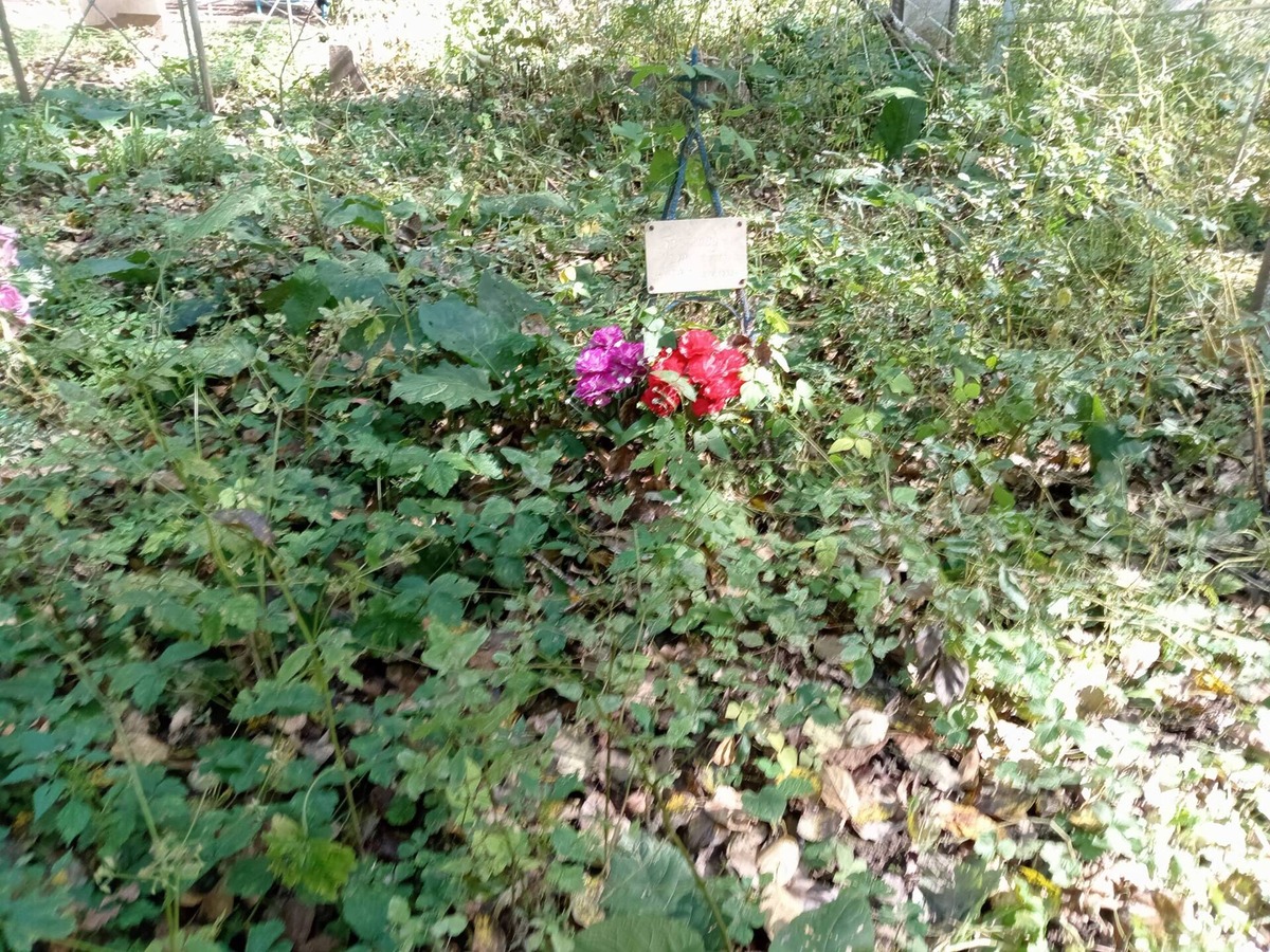 Бегишев Игорь