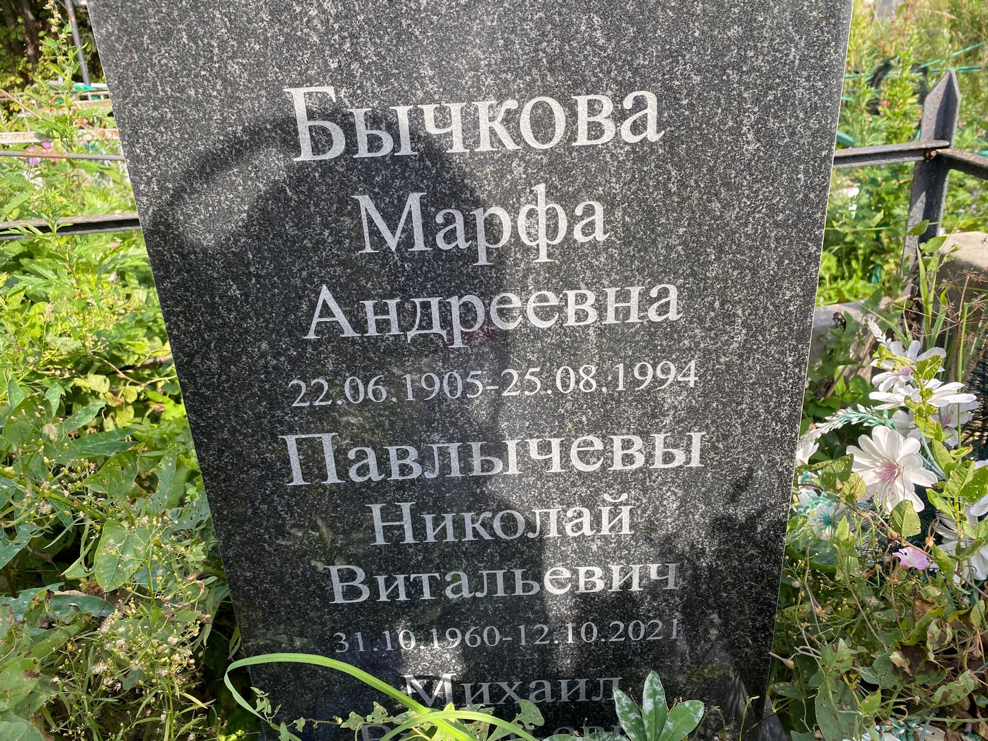 Павлычев