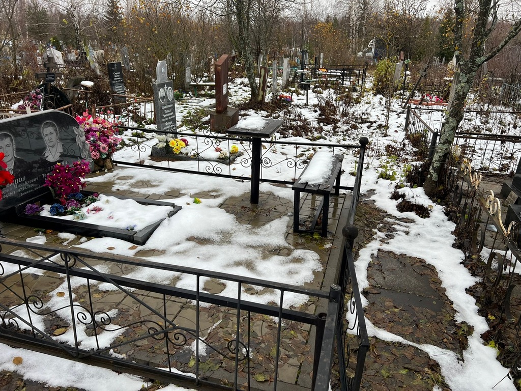 Земцов Дмитрий Михайлович