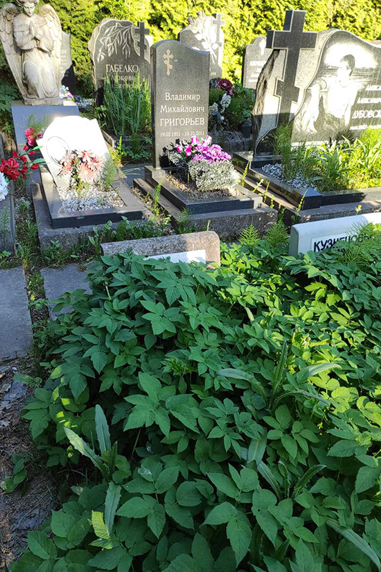 Яковлев Сергей Михайлович