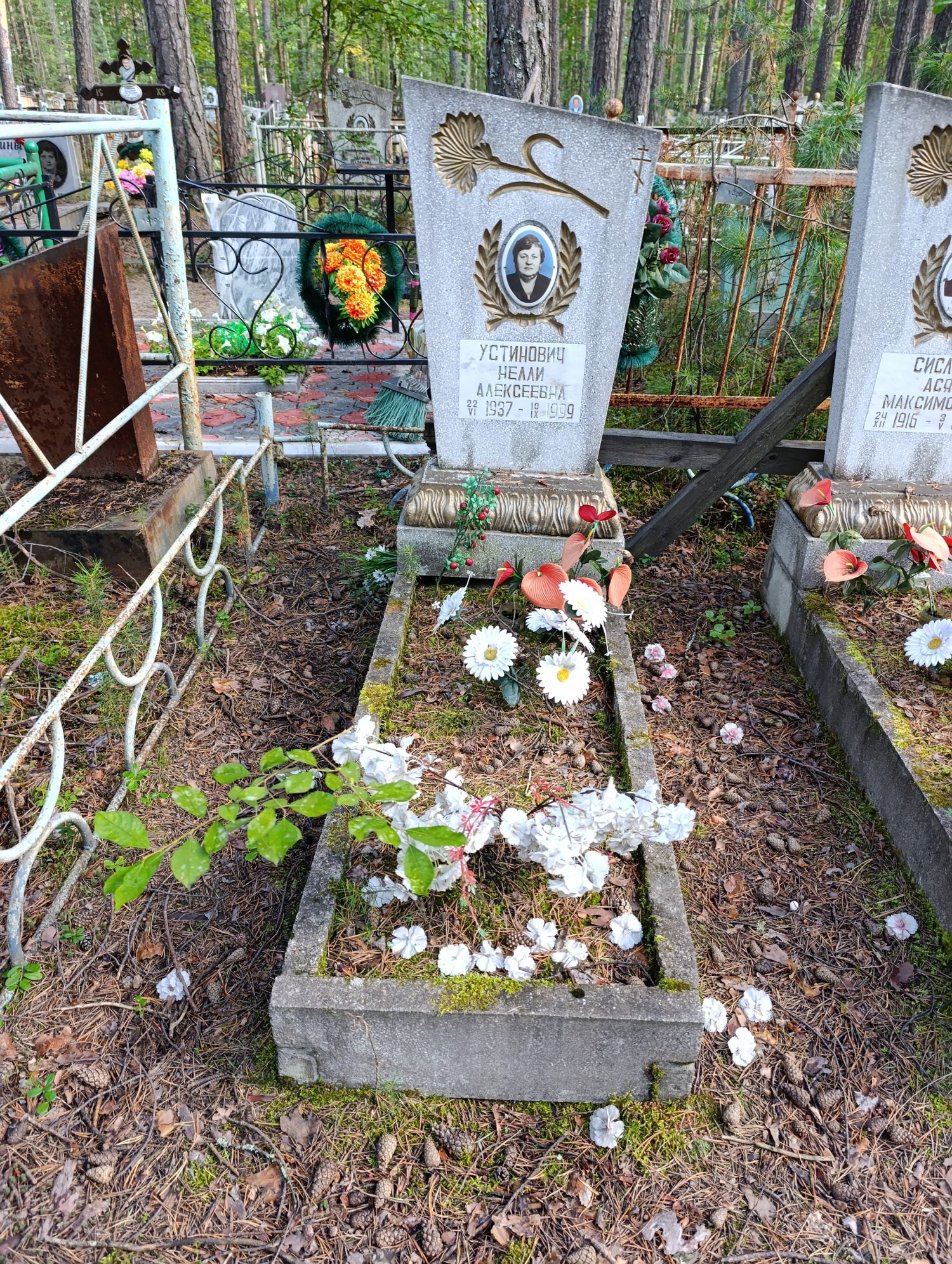 Устинович Нелли Алексеевна