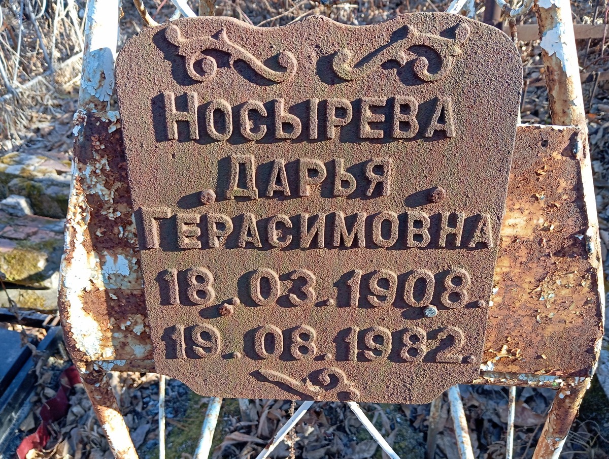 Носырева Дарья Герасимовна