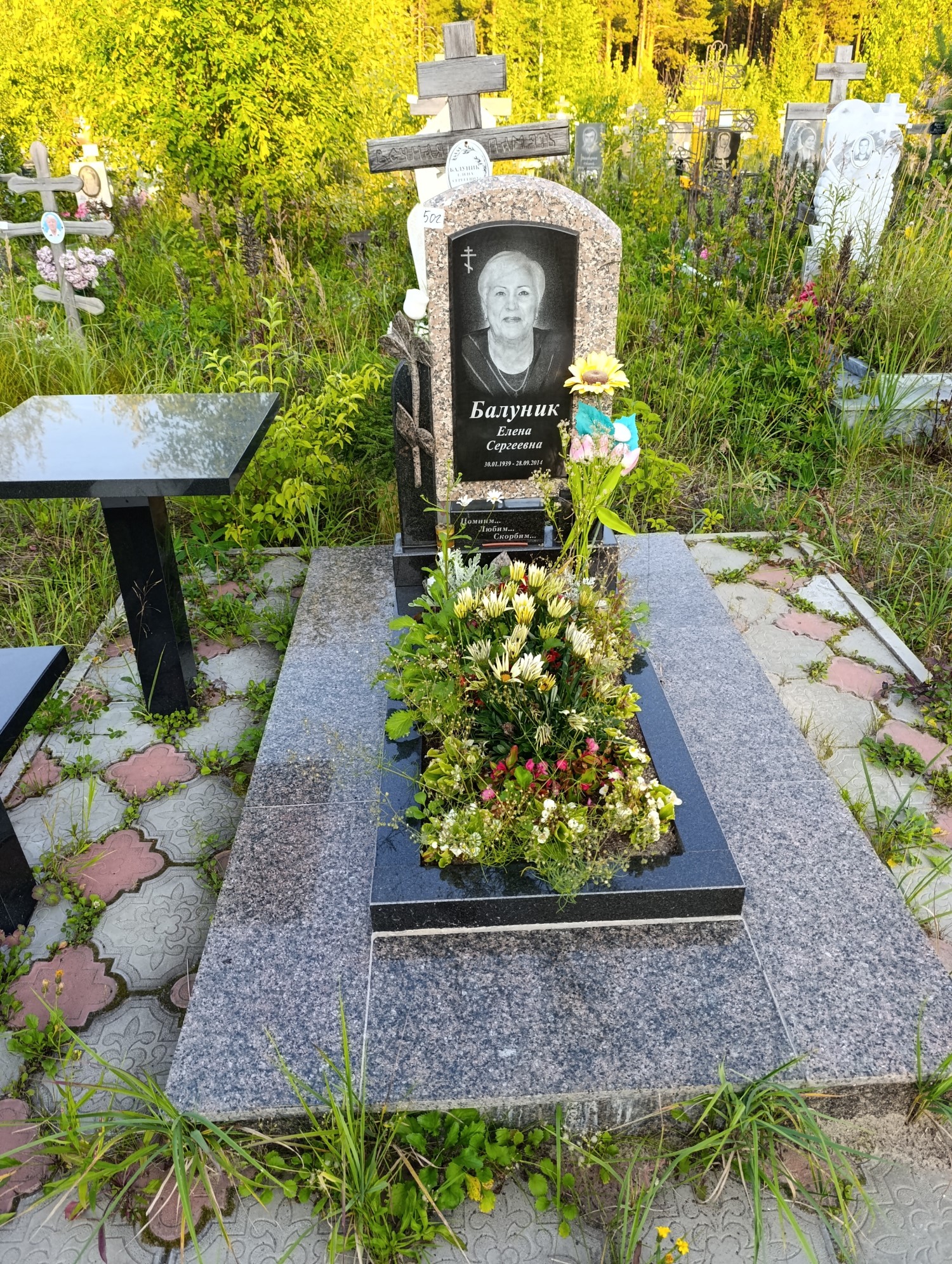 Балуник Елена Сергеевна