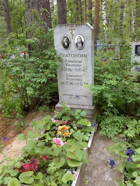 Платонова Лизавета Андреевна