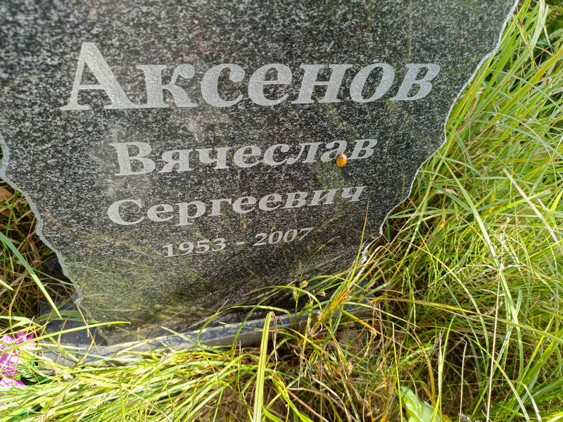 Аксенов