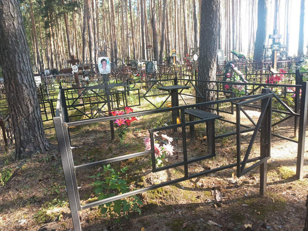 Ежева Надежда Евгеньевна
