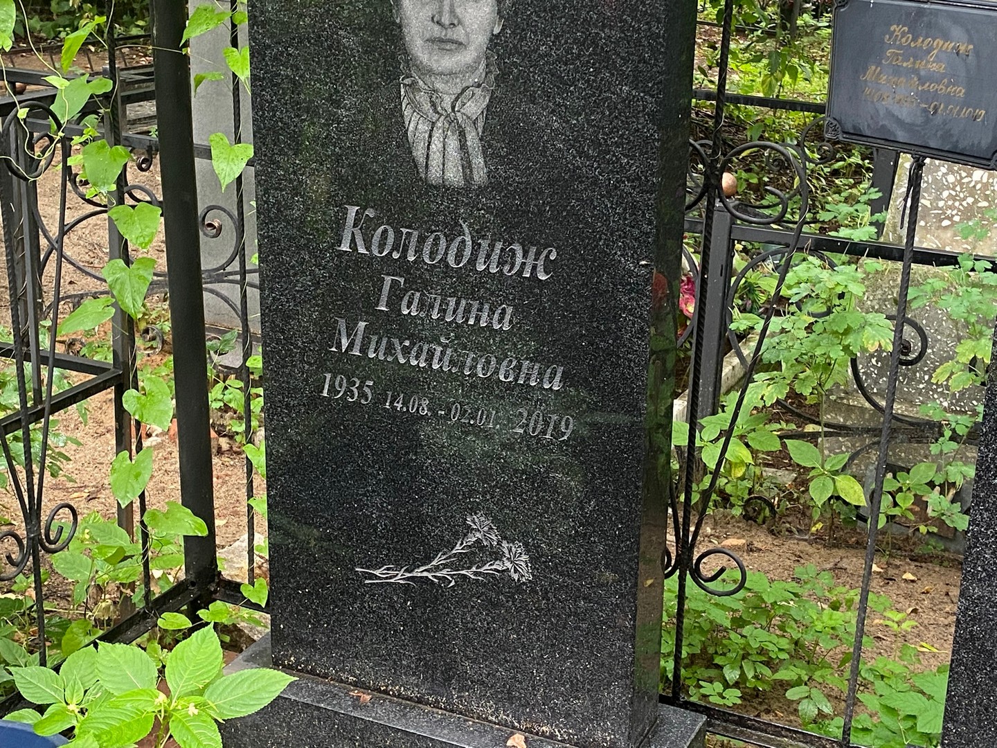 Колодиж