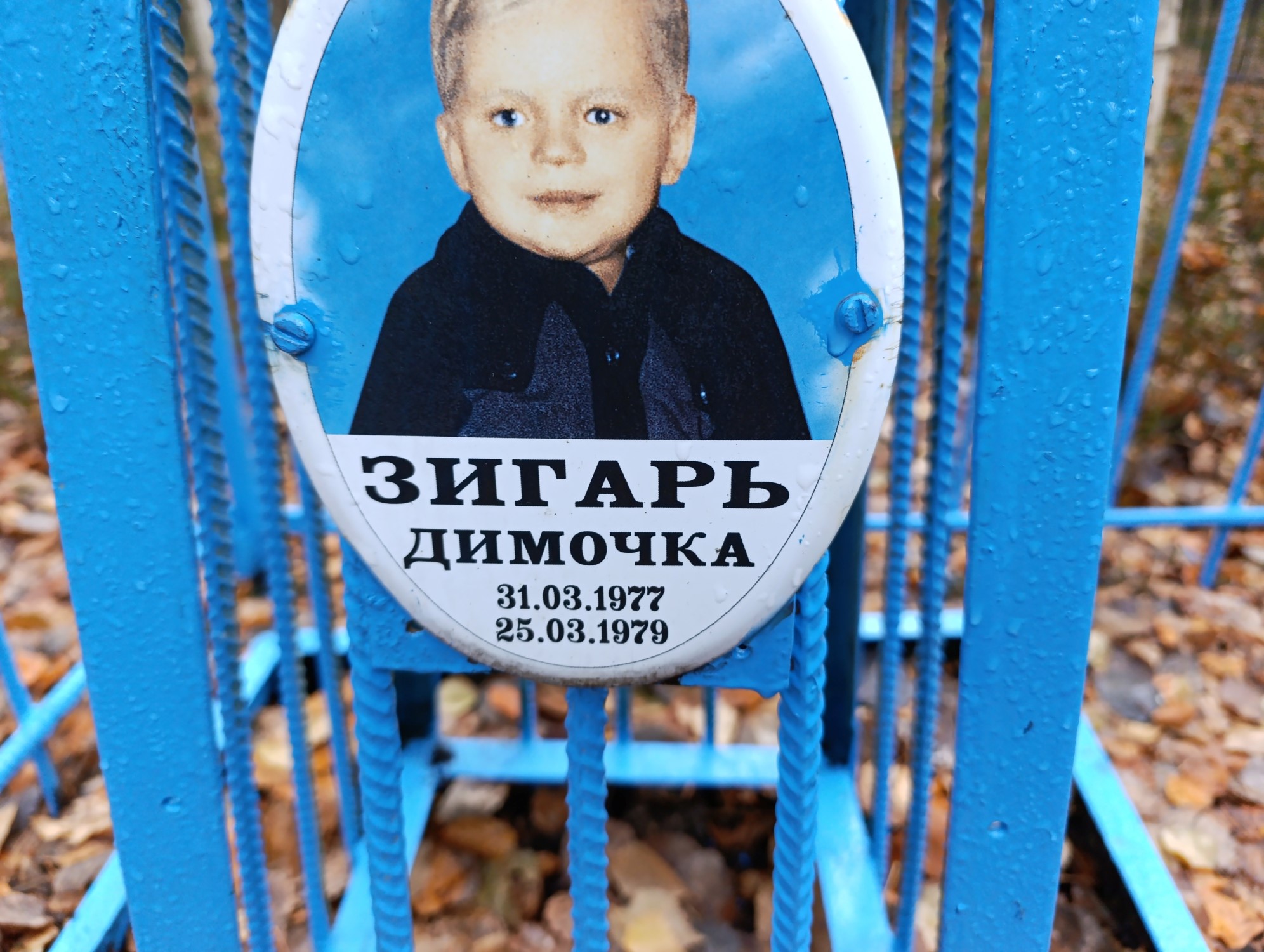 Зигарь Димочка