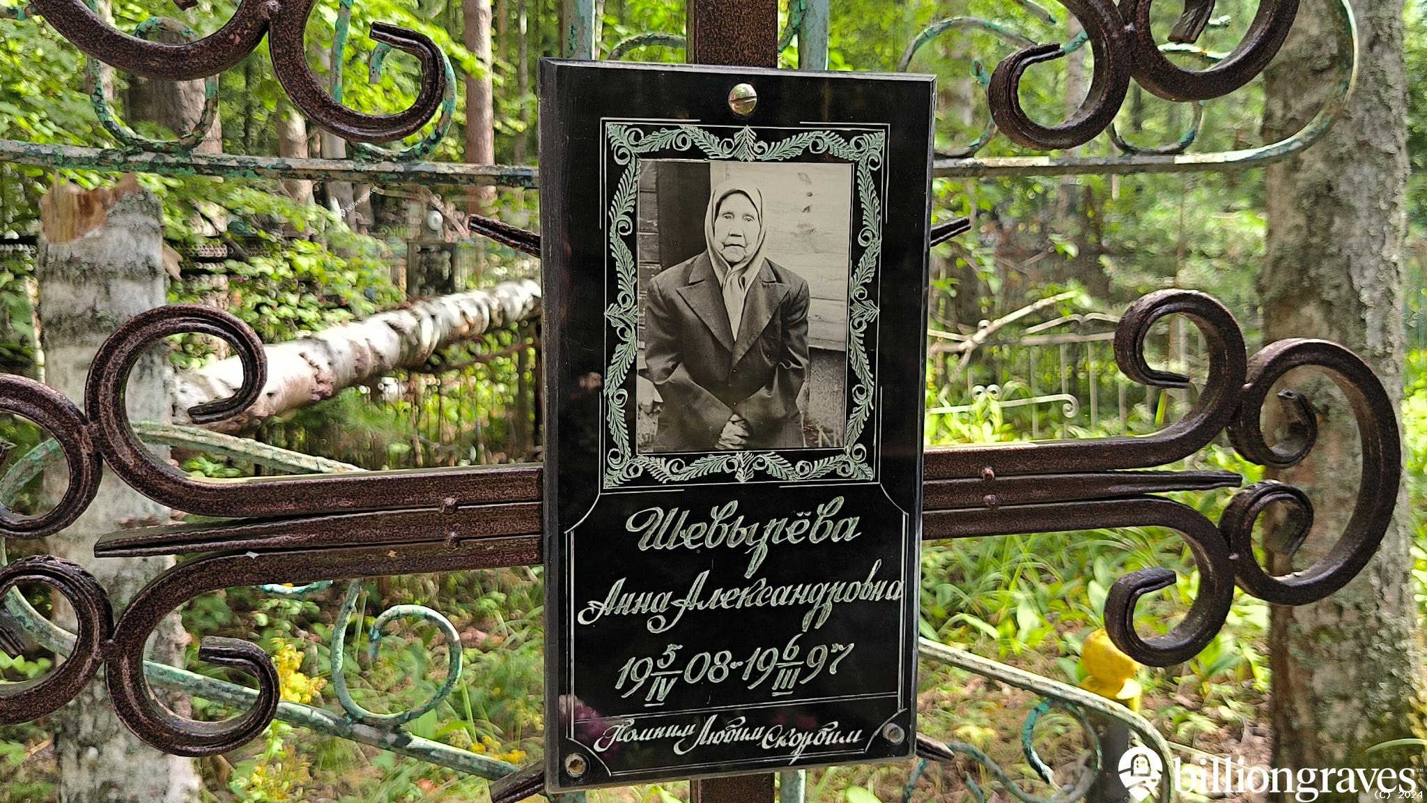 Шевырёва Анна Александровна