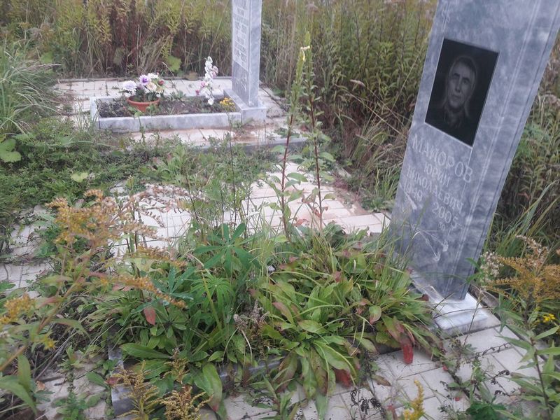 Майоров Юрий Николаевич