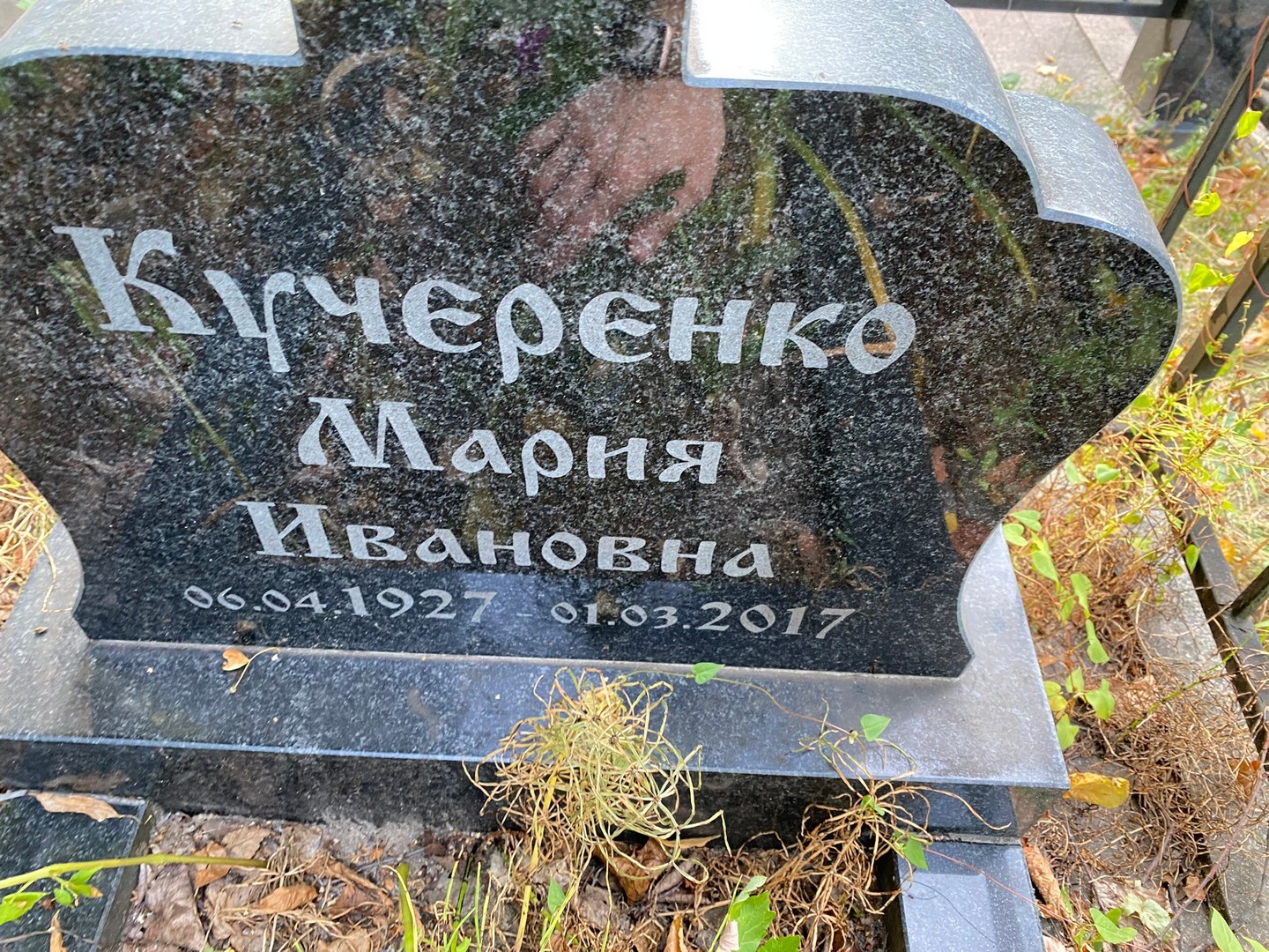 Кучеренко