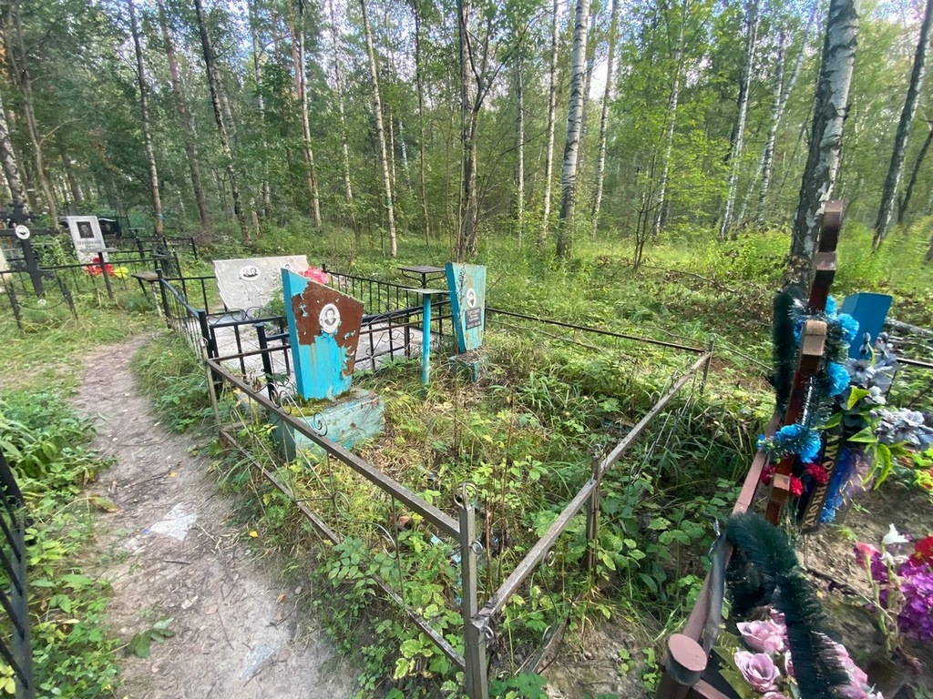 Бородина Светлана Георгиевна