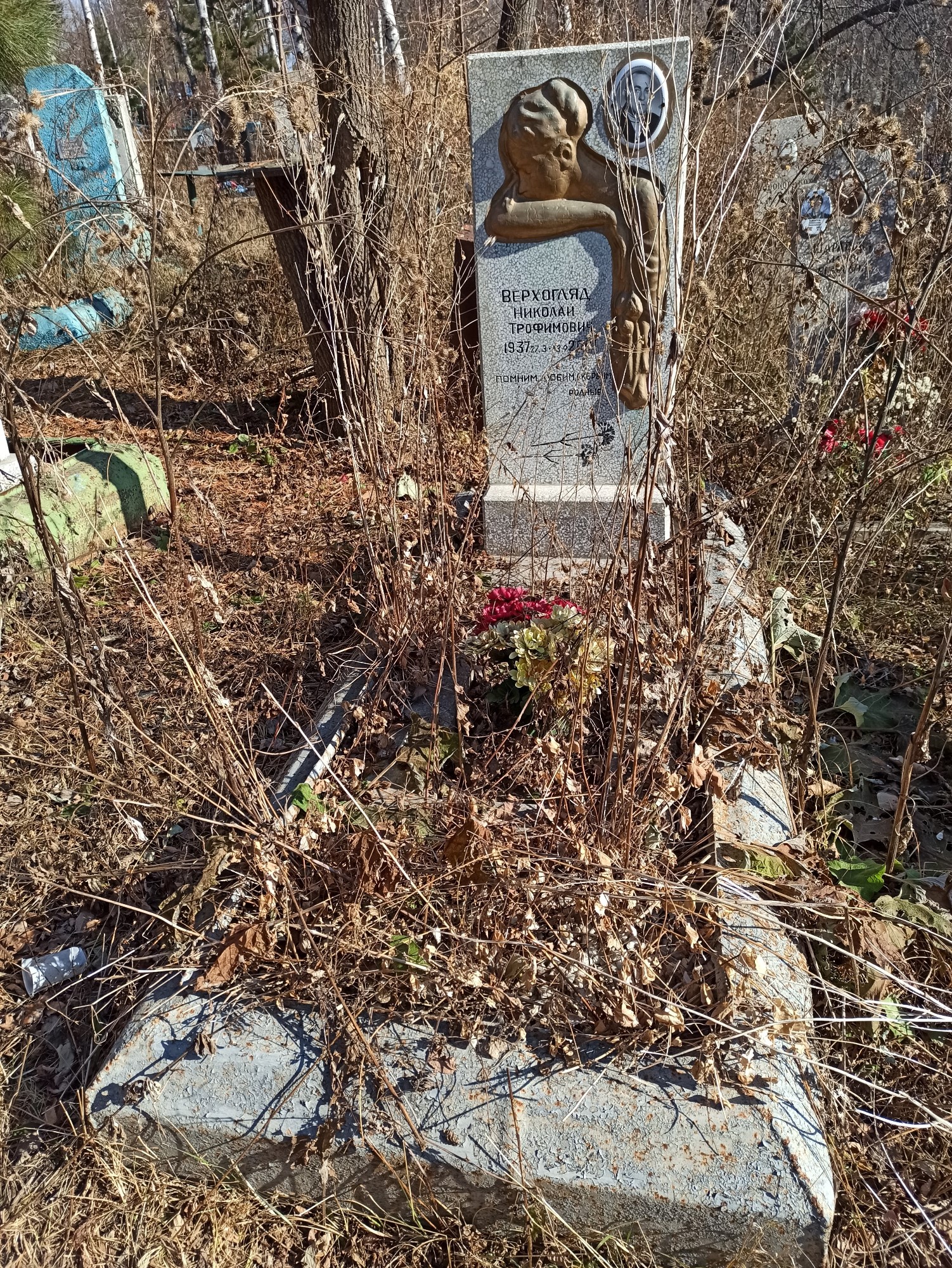 Верхоляд Николай Трофимович