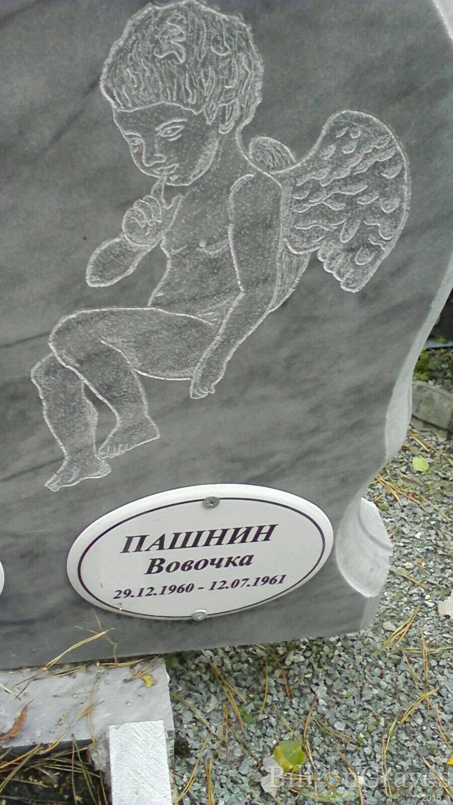 Пашнин Вовочка