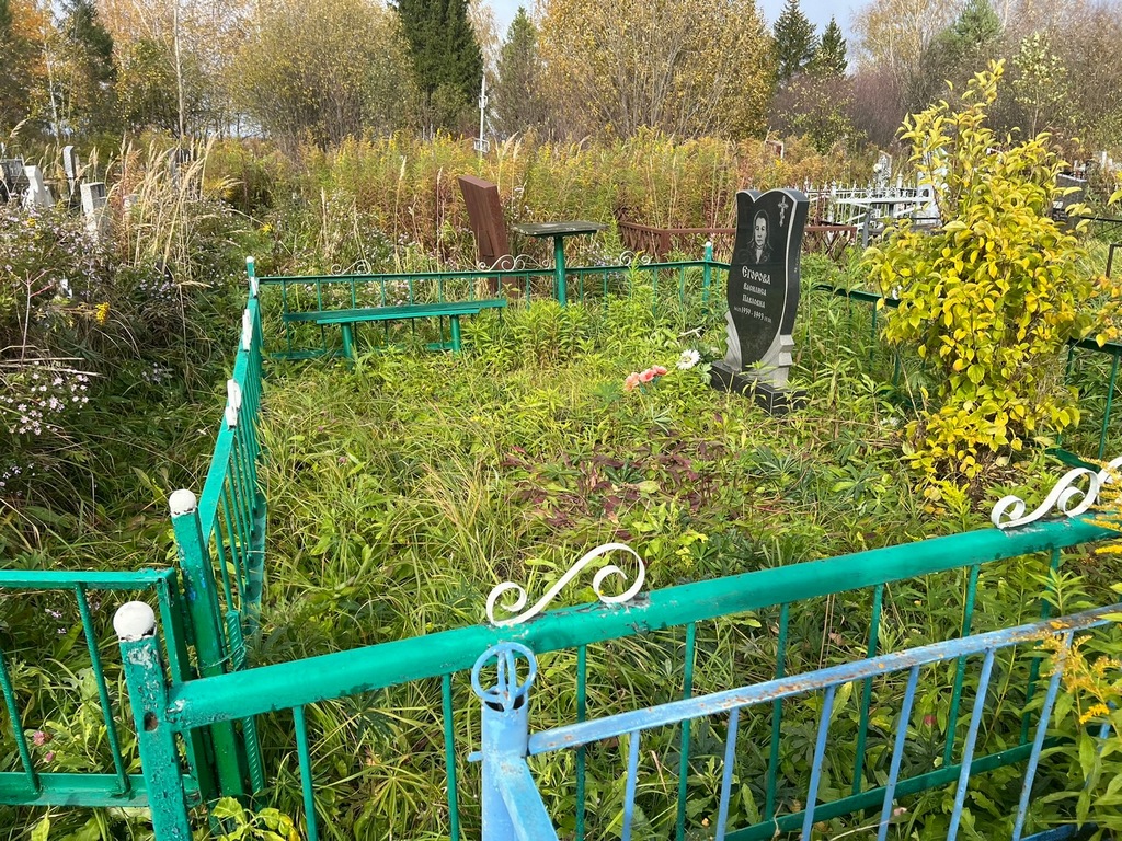 Егорова Василиса Павловна