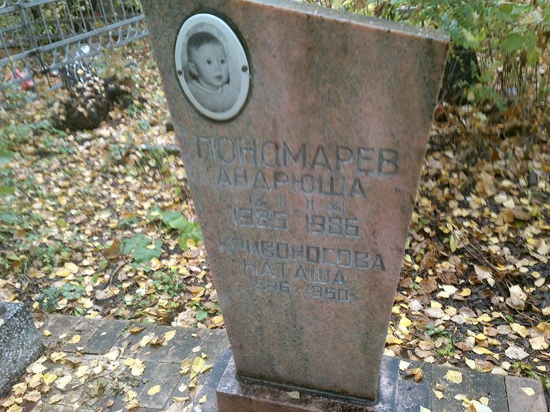 Андрюша Пономарев