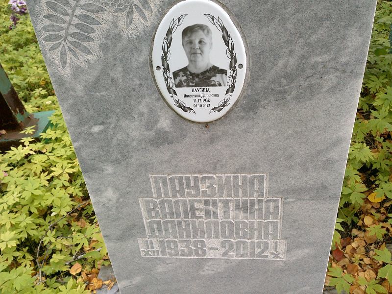 Паузина