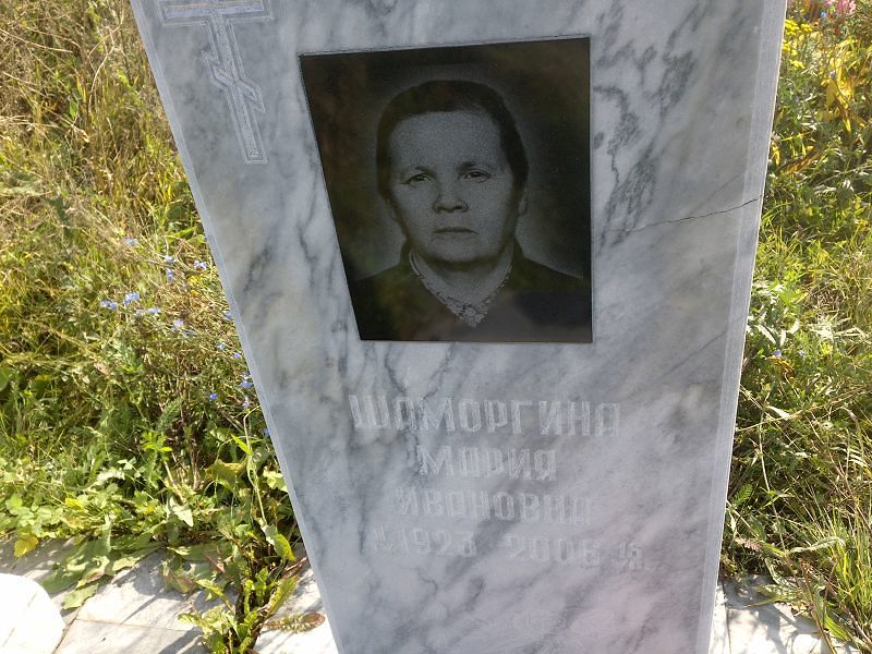 Шаморгина