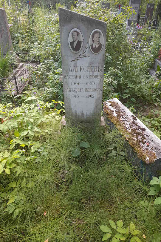 Алексеев Василий Иванович