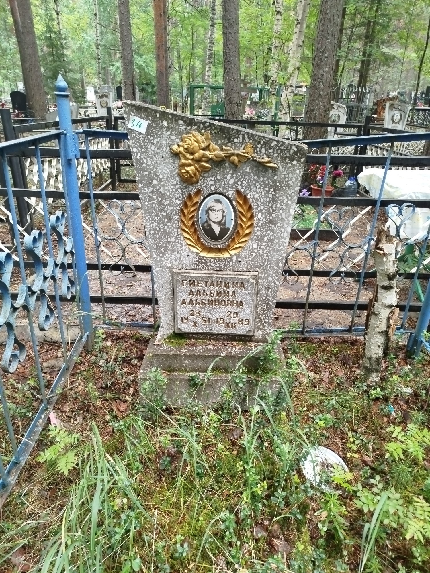 Сметанина Альбина Альбиновна
