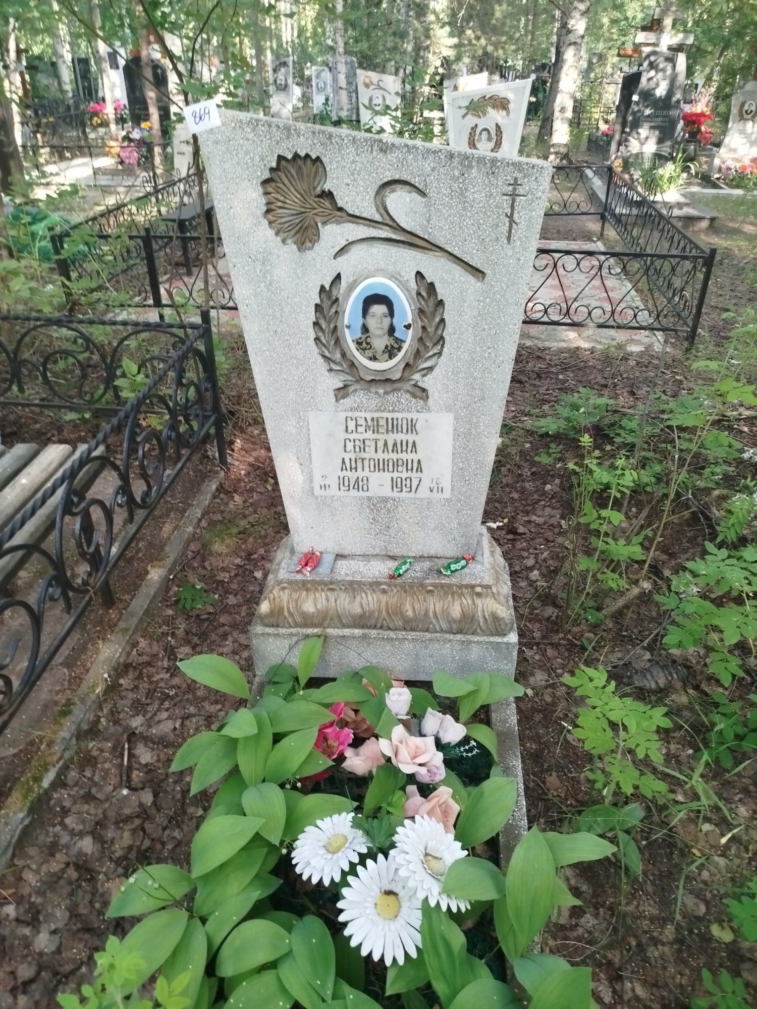 Семенюк Светлана Антоновна