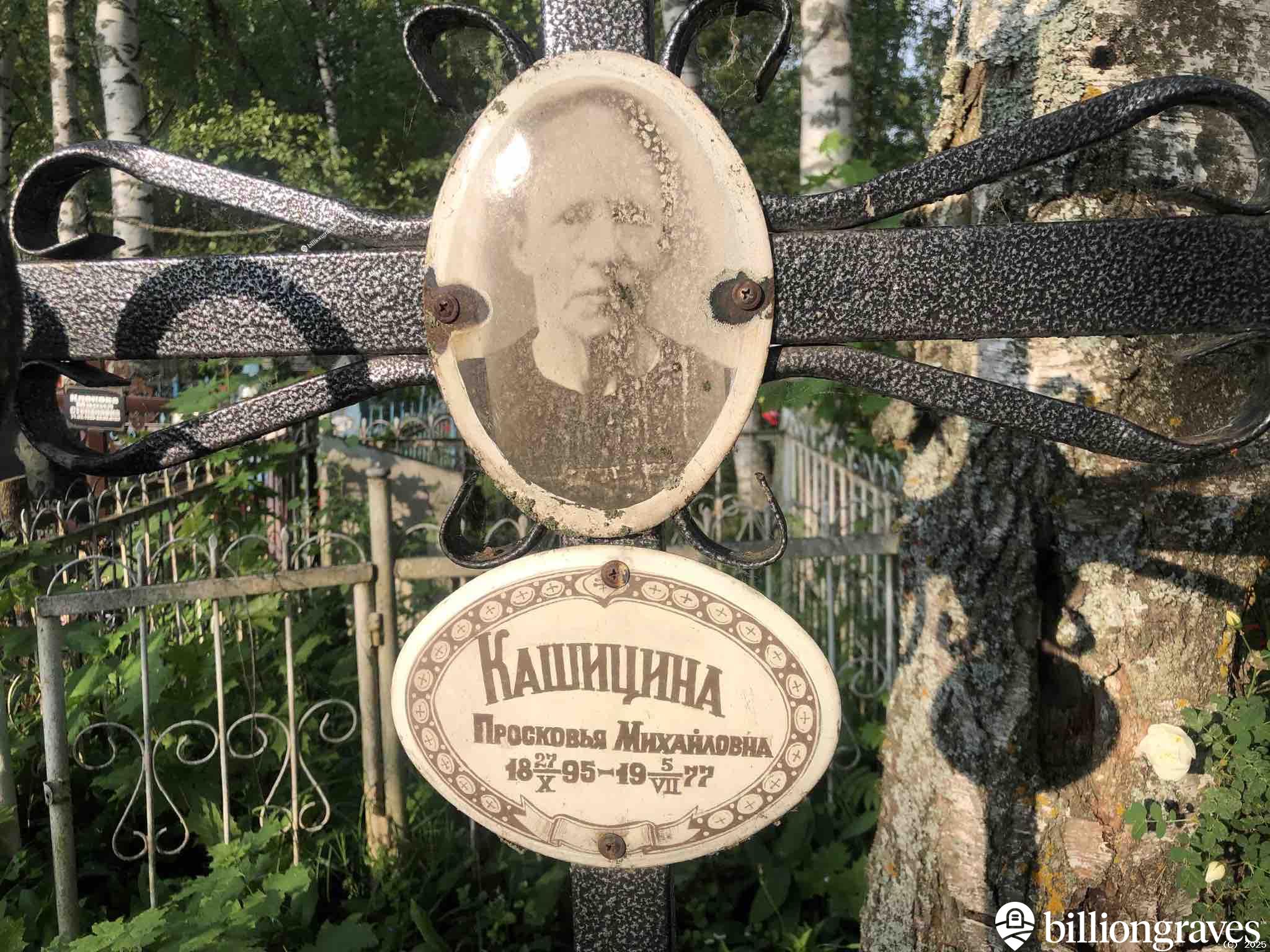 Кашицина Просковья Михайловна