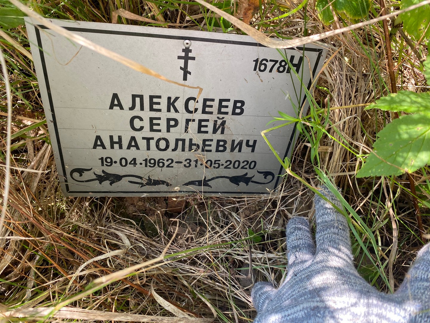 Алексеев