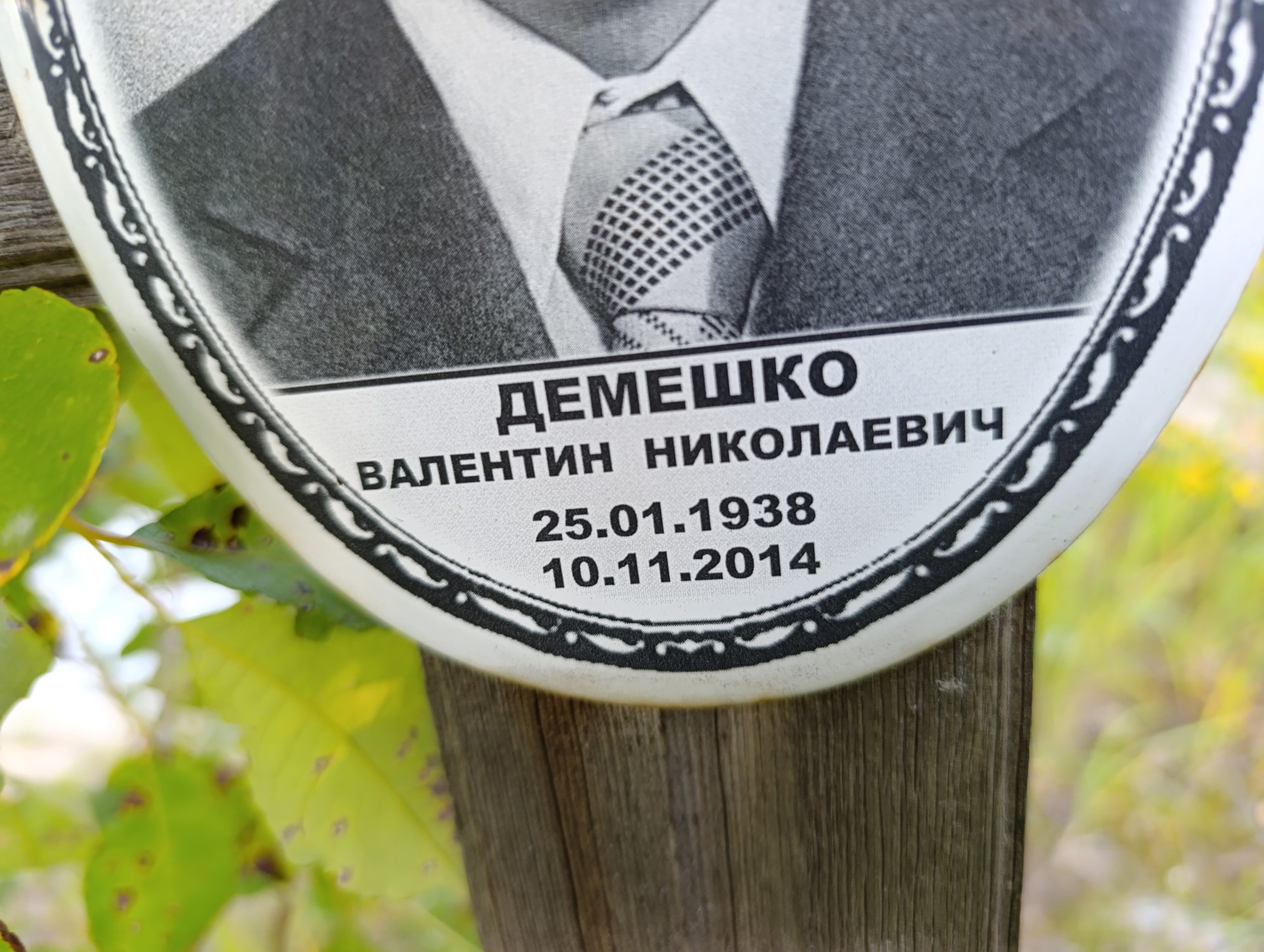 Демешко Валентин Николаевич