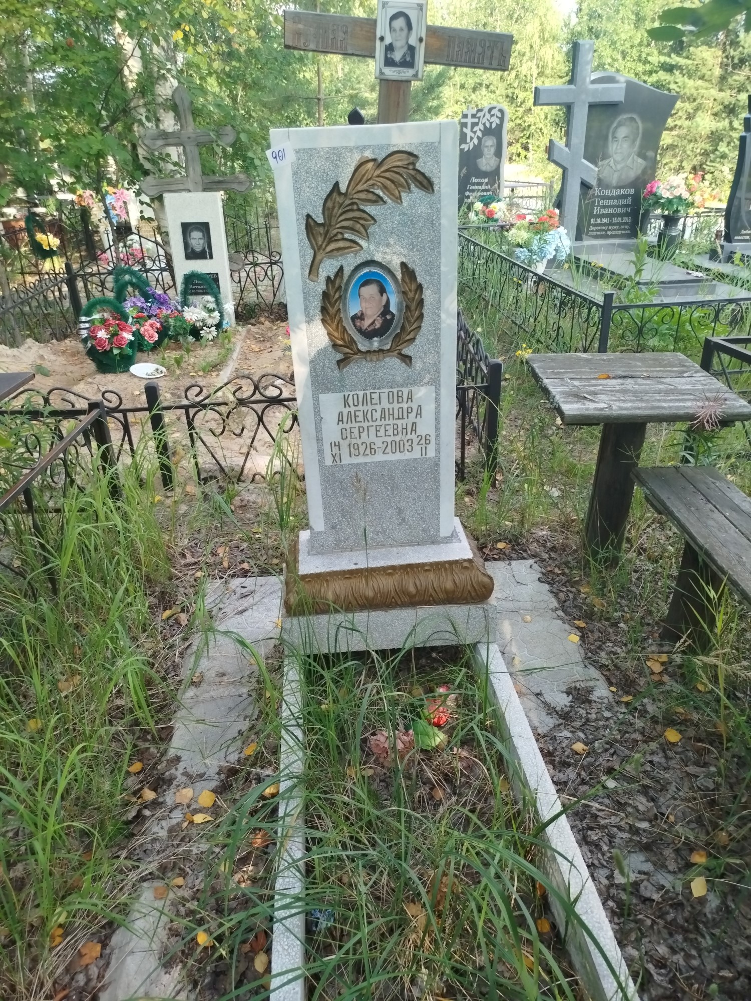 Колегова Александра Сергеевна