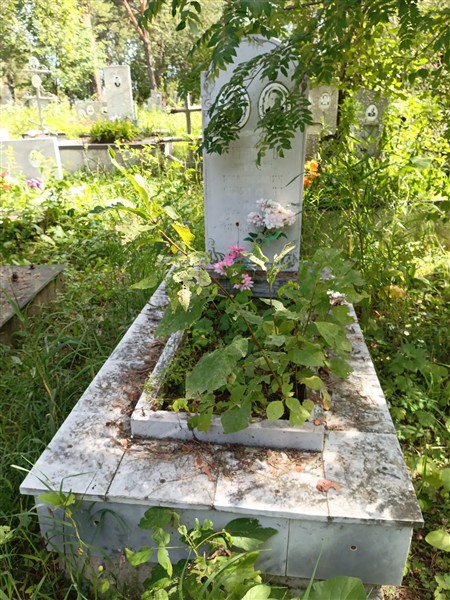 Дерягин Евгений Максимович