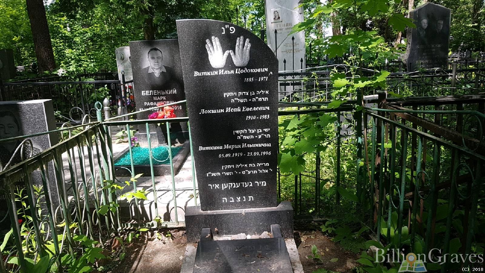 Виткина Мария Ильинична