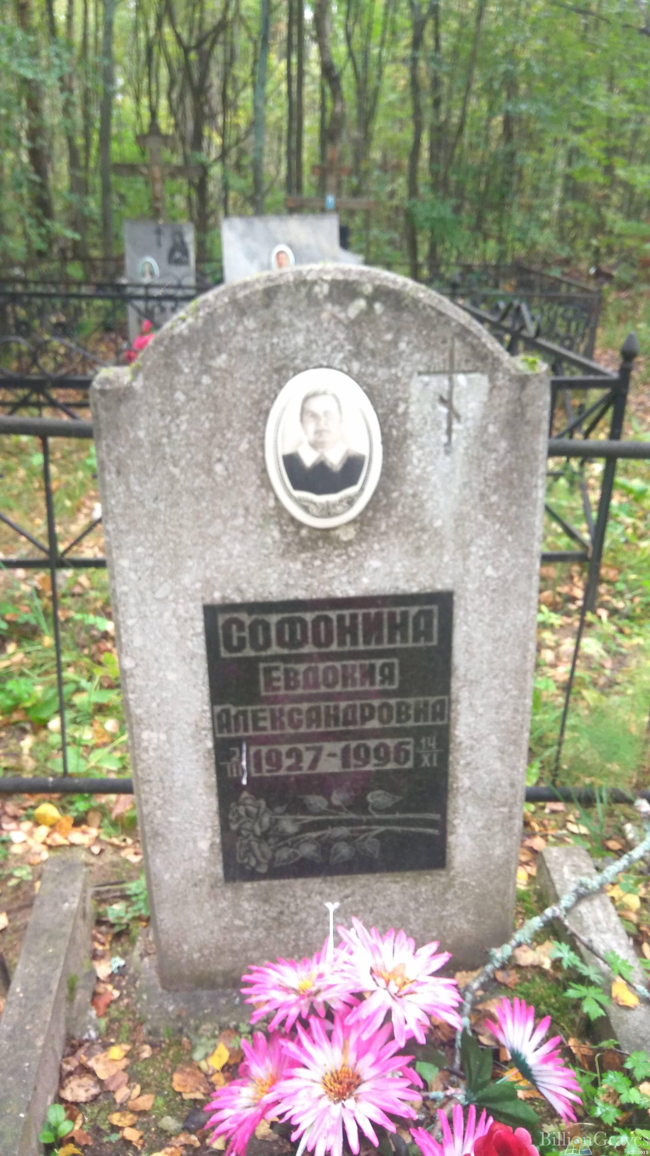 Софонина Евдокия Александровна