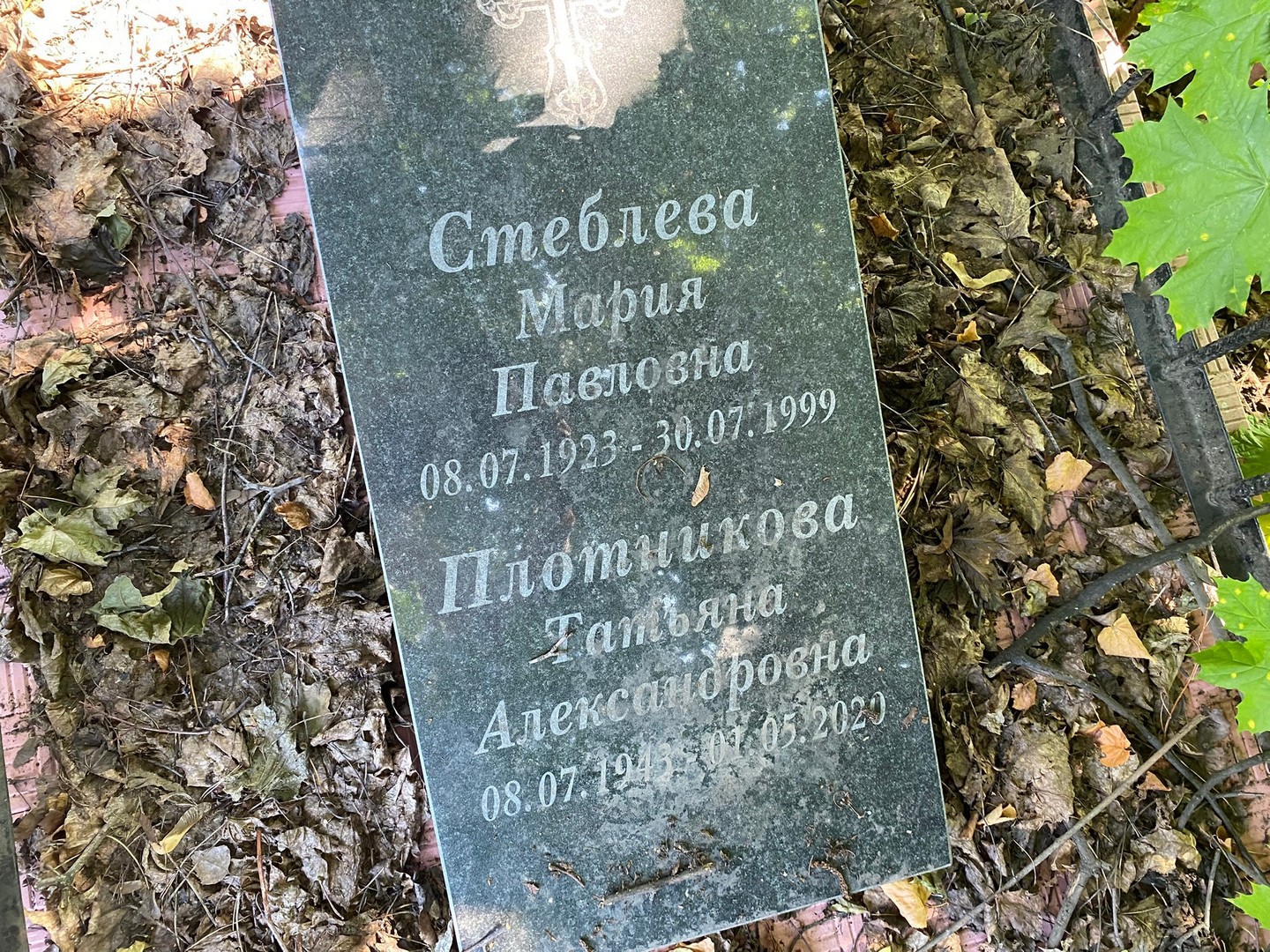 Стеблева