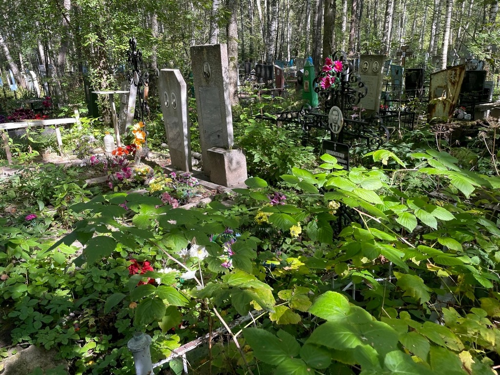 Шумилкин Алексей Михайлович