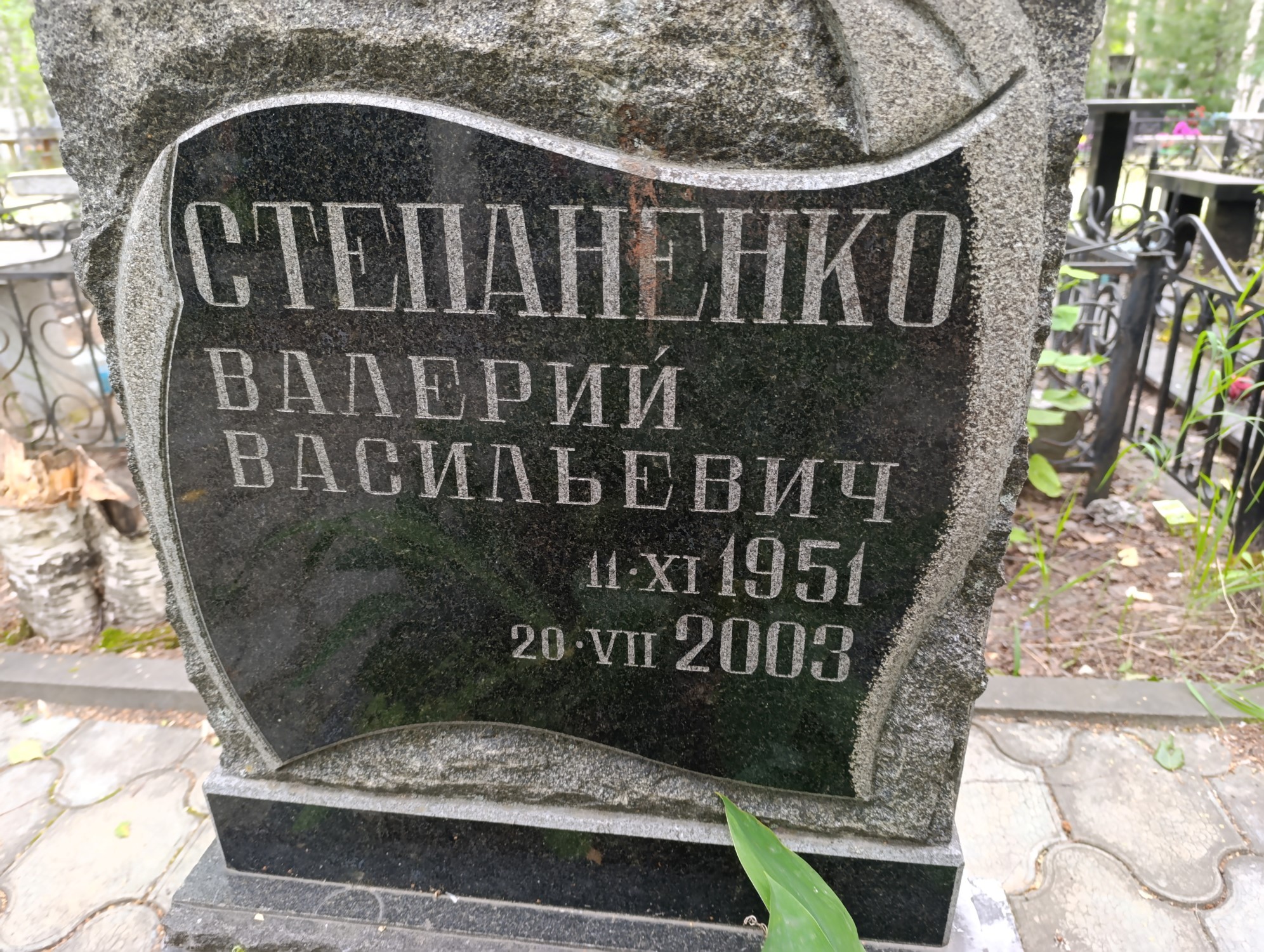 Степаненко Валерий Васильевич