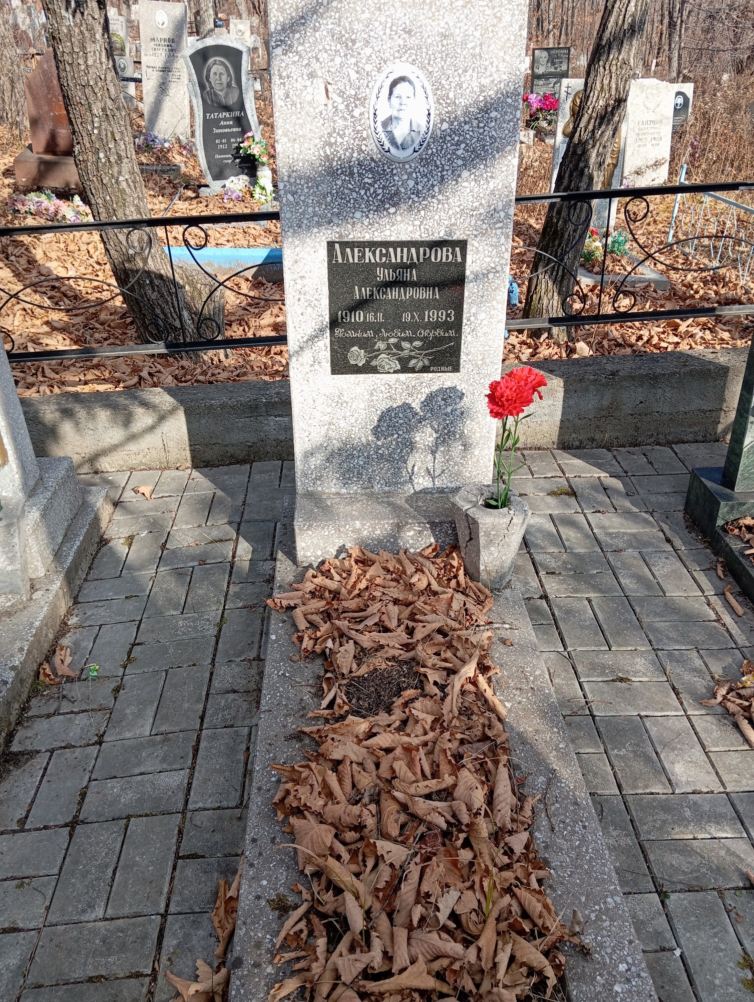Александрова Ульяна Александровна