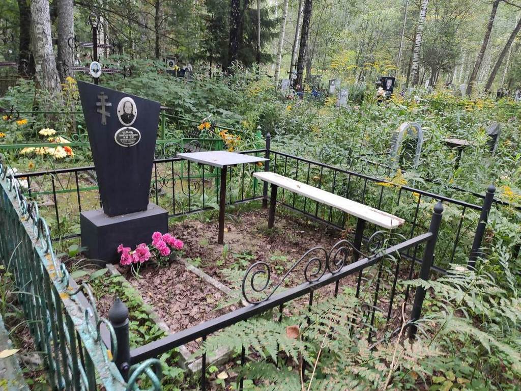 Яковлева Анна Константиновна