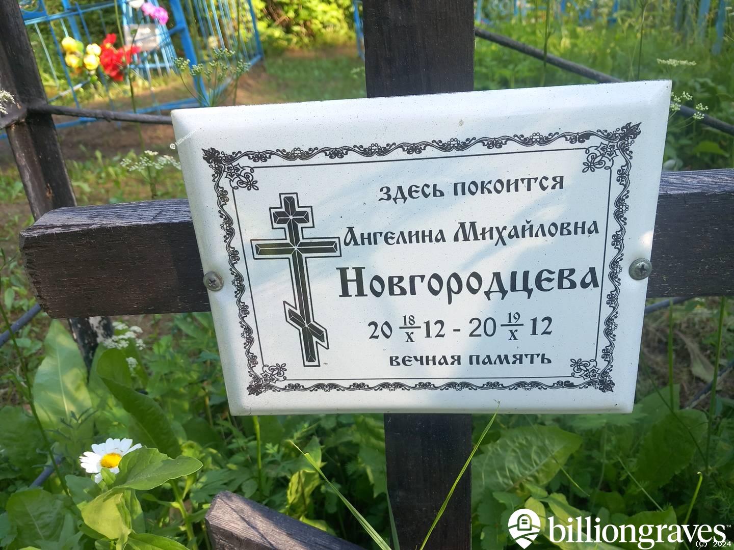 Новгородцева Ангелина Михайловна