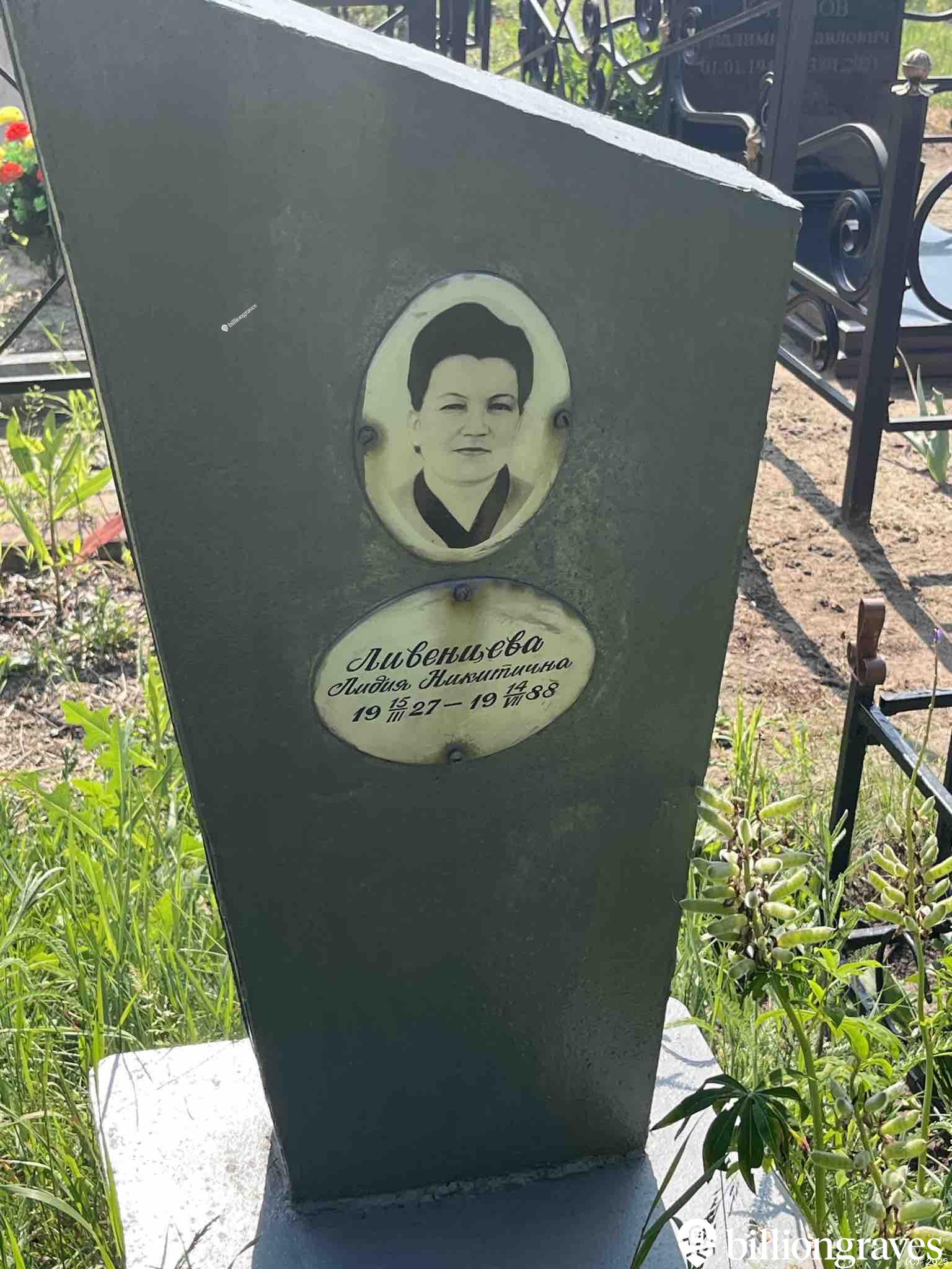Ливенцева Лидия Никитична