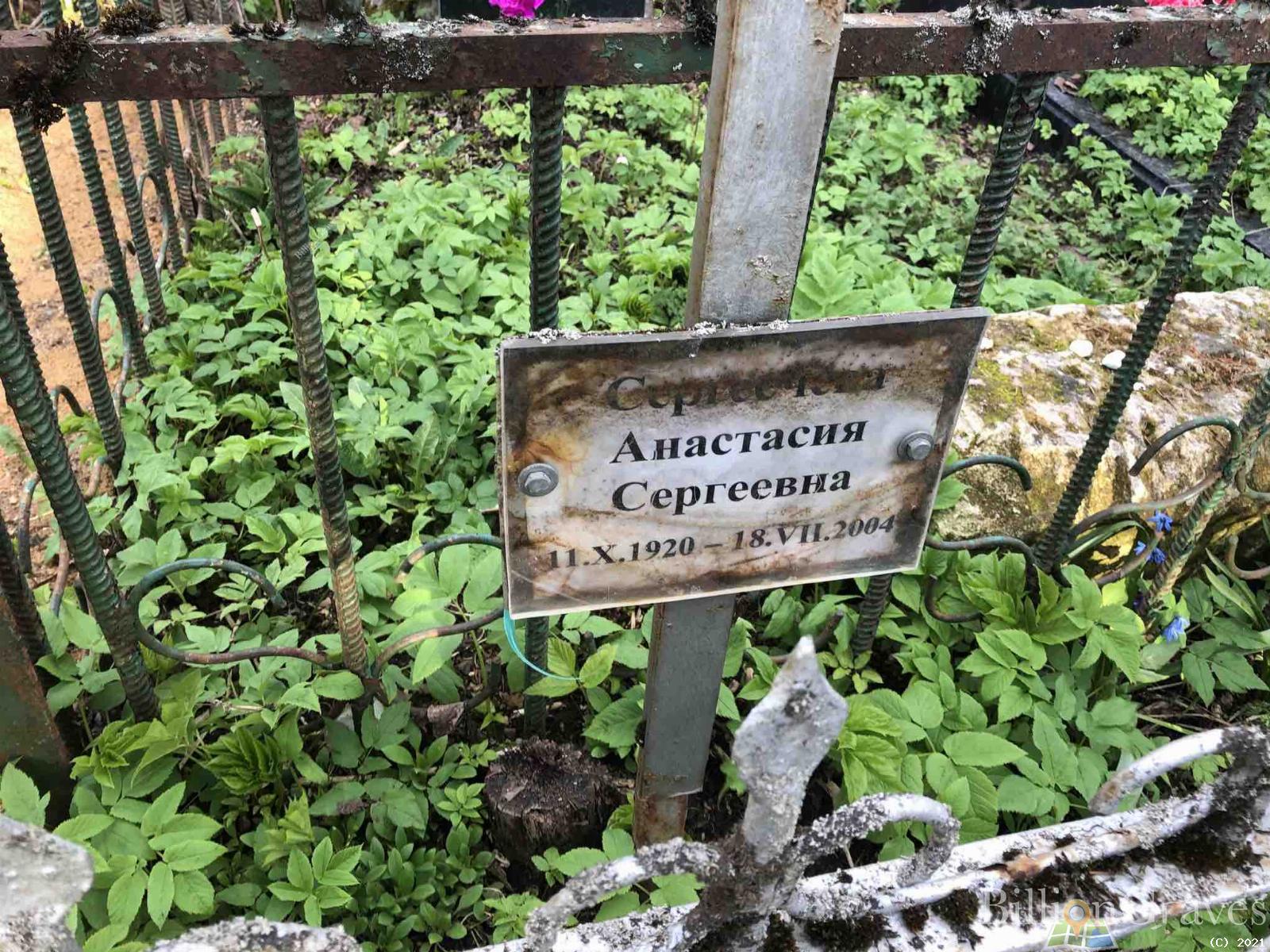 Сергеечева Анастасия Сергеевна