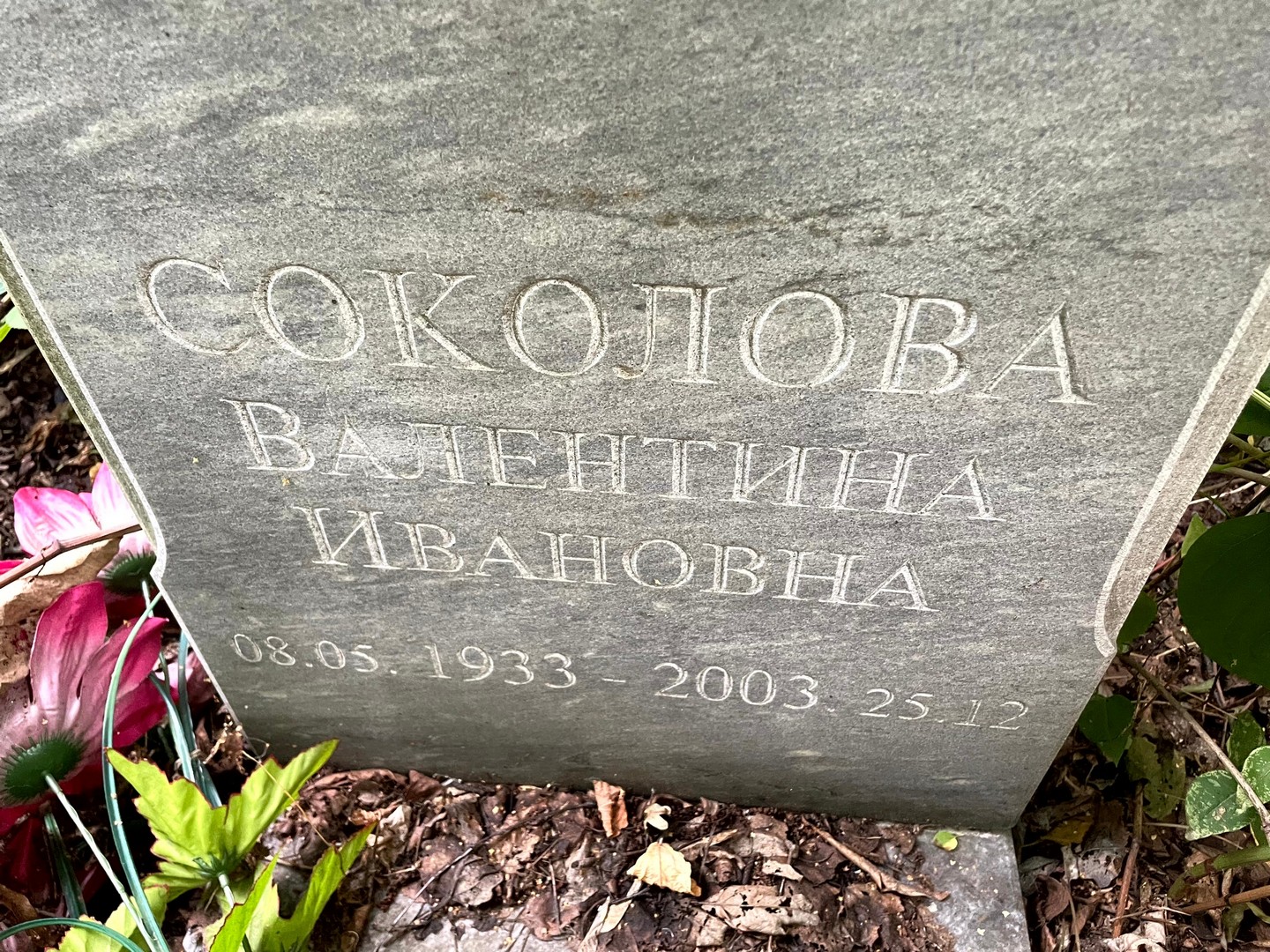 Соколова