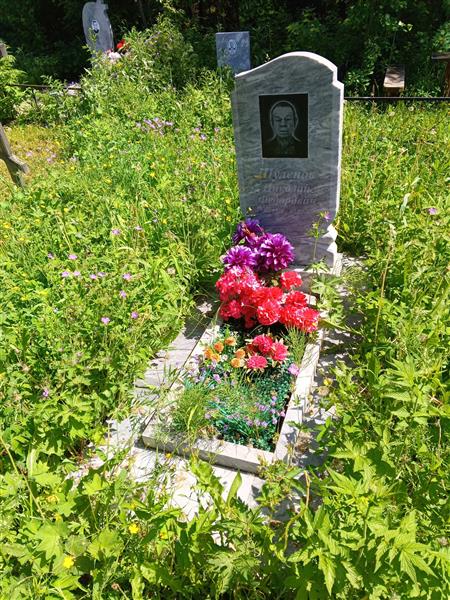 Шулепов Николай Фёдорович