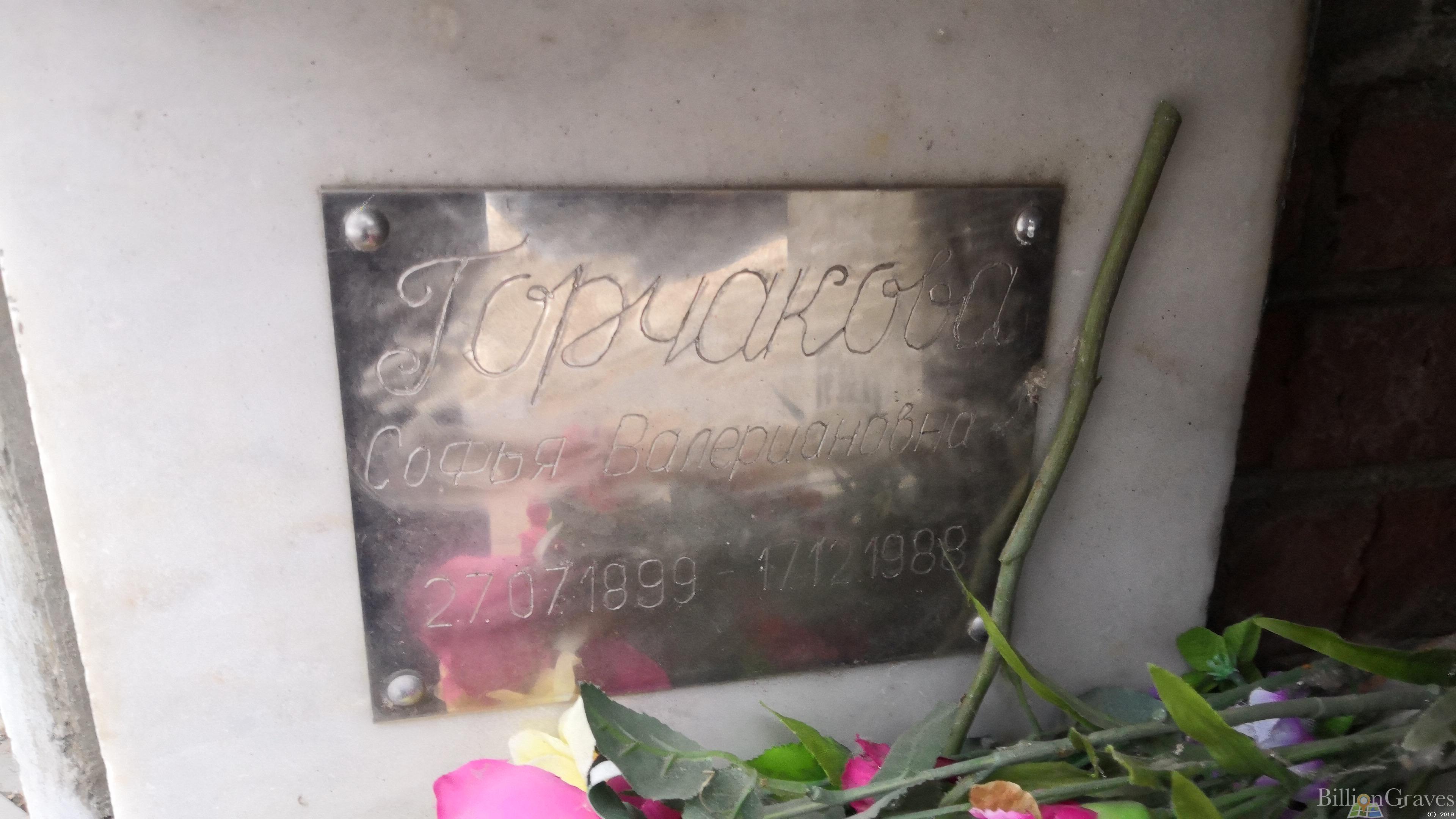 Горчакова Софья Валериановна