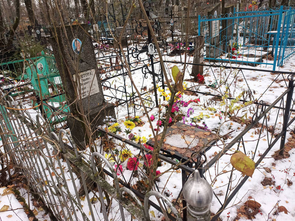 Фирсова Альбина Николаевна