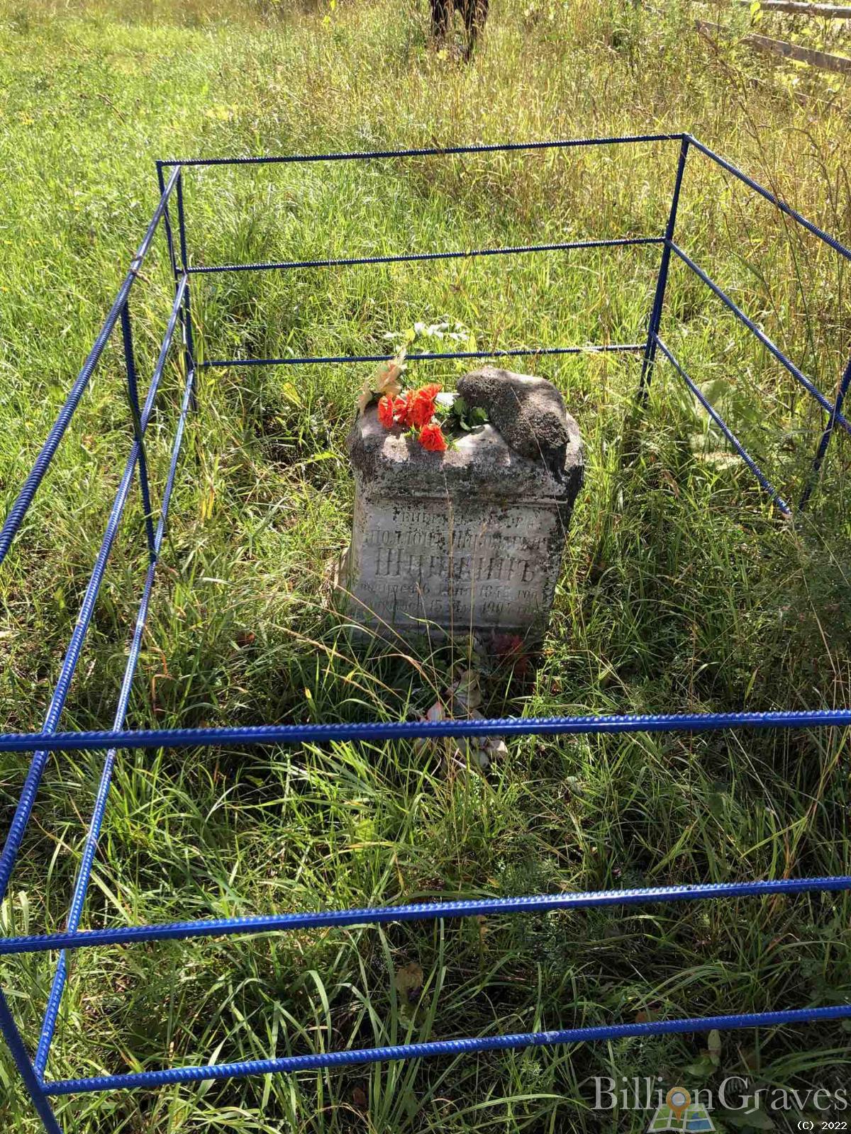 Шишкин Апполон Николаевич